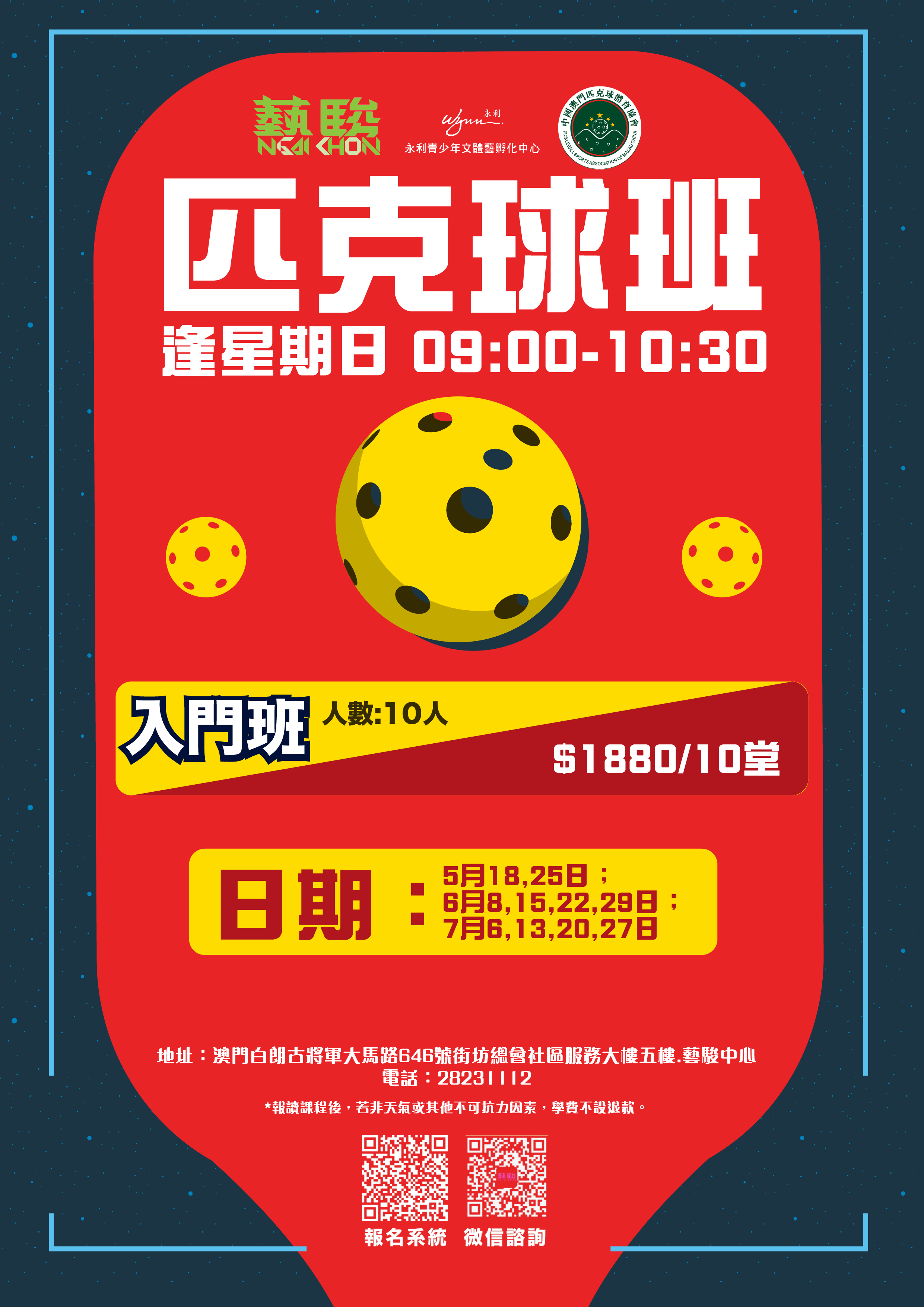 匹克球（入門班）