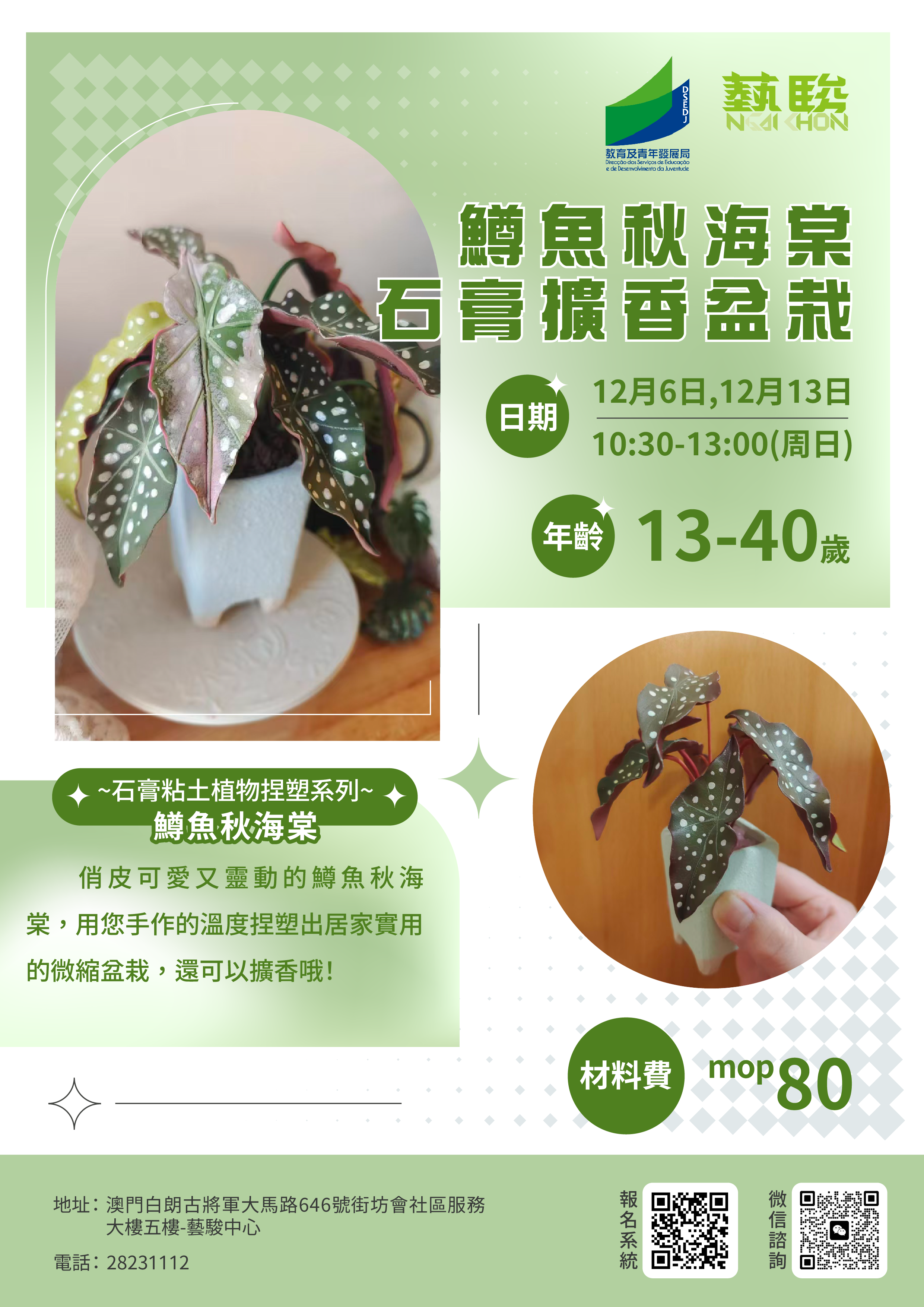 鱒魚秋海棠石膏擴香盆栽 工作坊